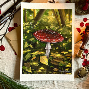 Amanita Muscaria A6