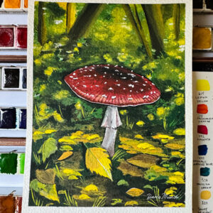 Amanita Muscaria A5